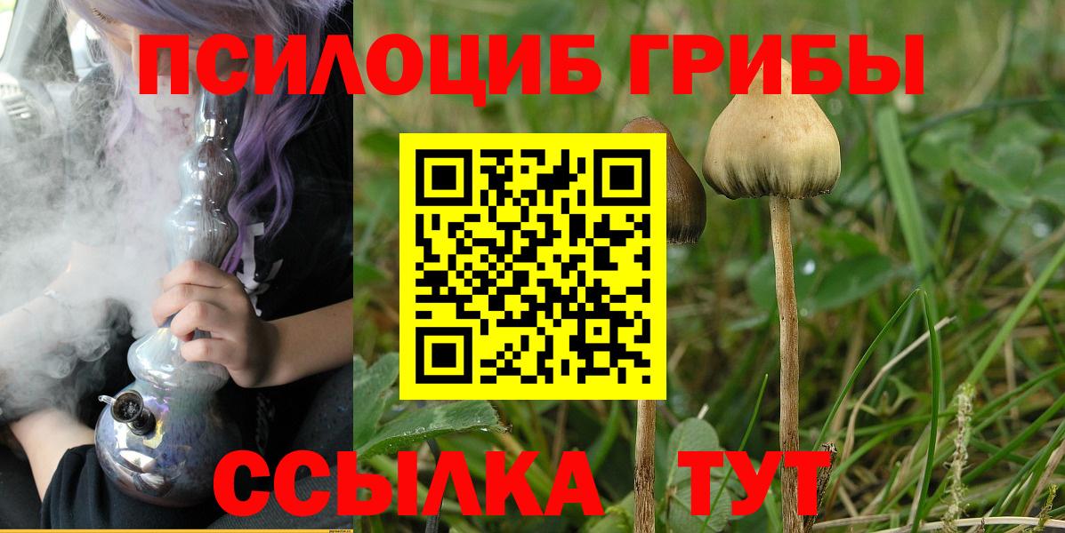 Ковров  Псилоцибиновые грибы мицелий  Вход с VPN 
